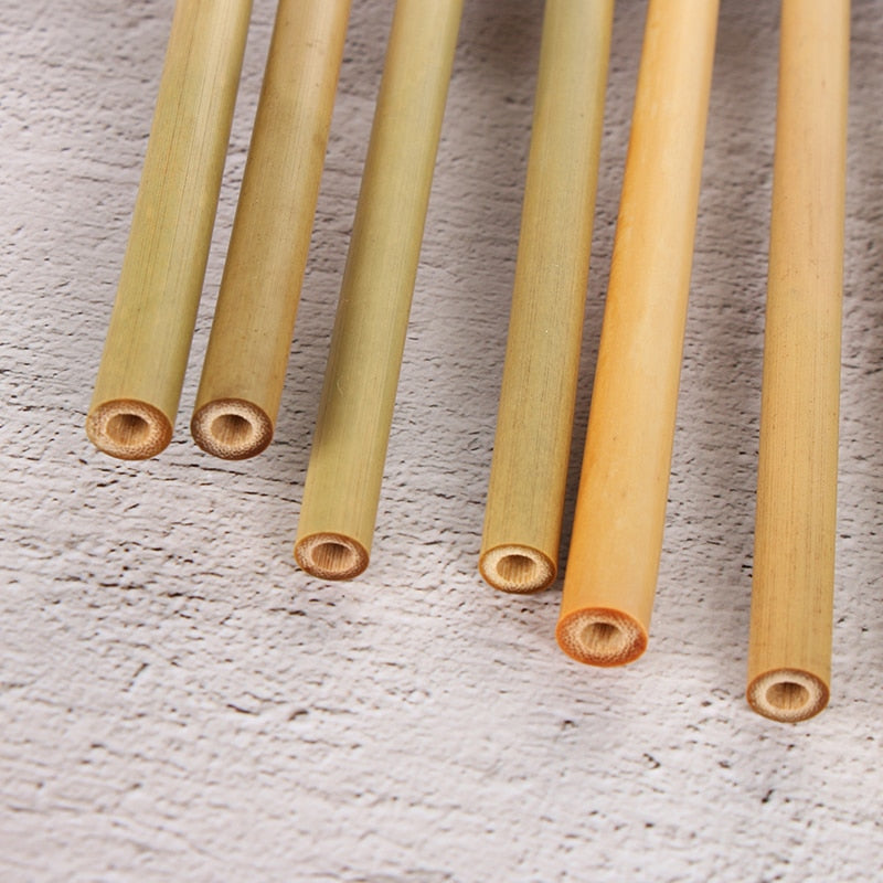 10pcs Reusable Natural Bamboo Straw Set