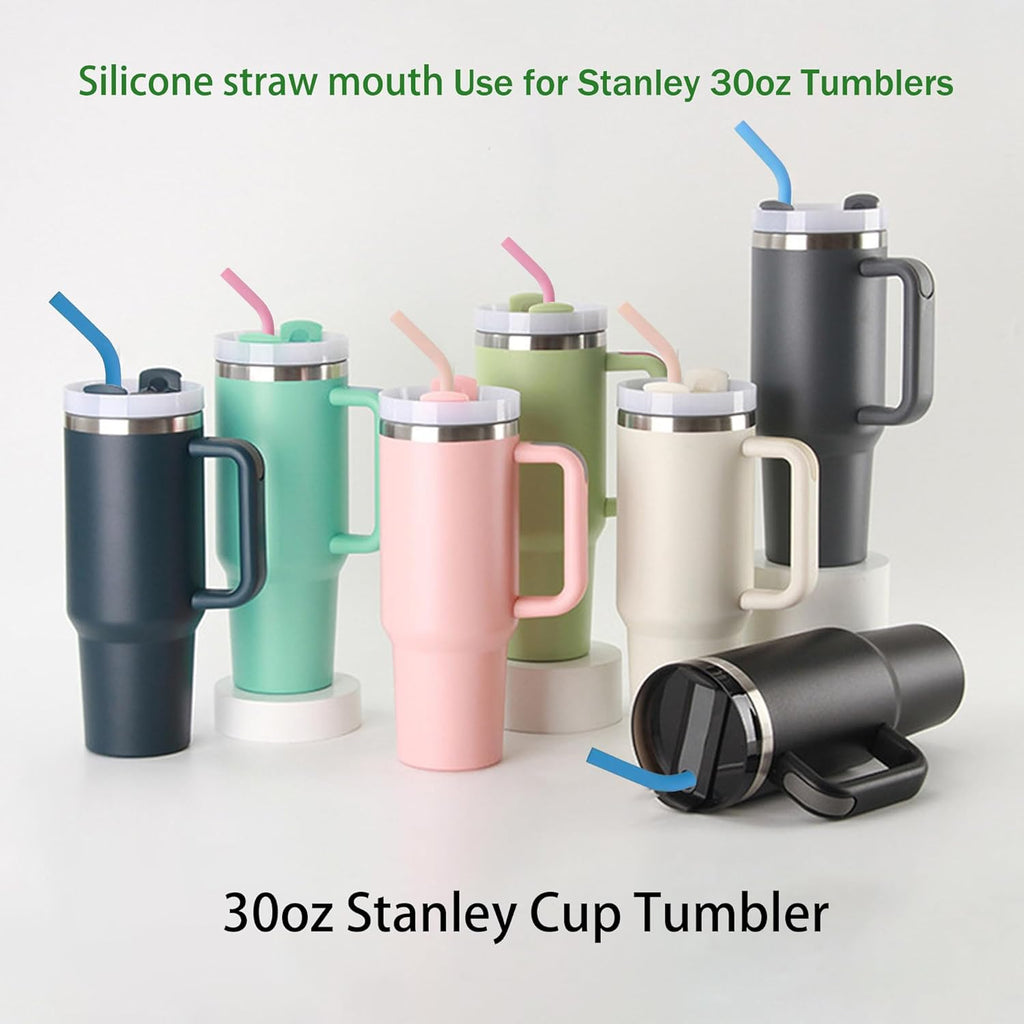 Titanium Reusable Straw Set with Silicone Tips