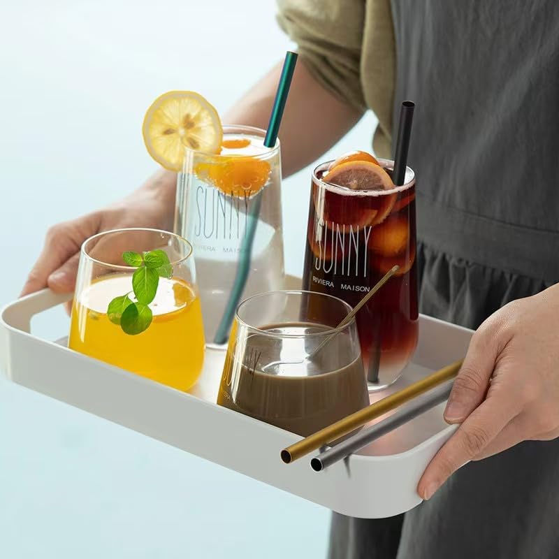 Titanium Reusable Straw Set with Silicone Tips